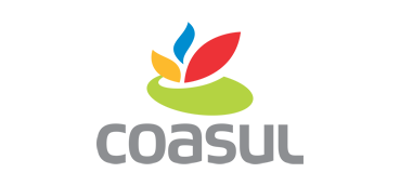 Coasul